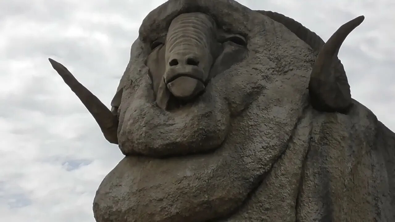 Big Merino, Goulburn NSW.