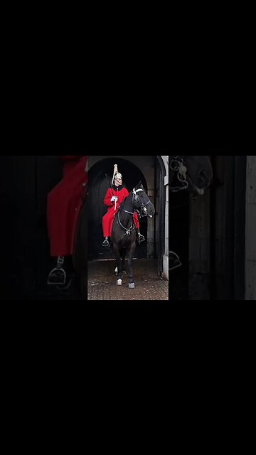 A loud bang gets attention #horseguardsparade