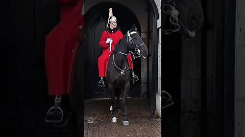 A loud bang gets attention #horseguardsparade