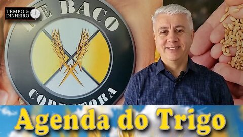 A volatilidade dos preços vai continuar...