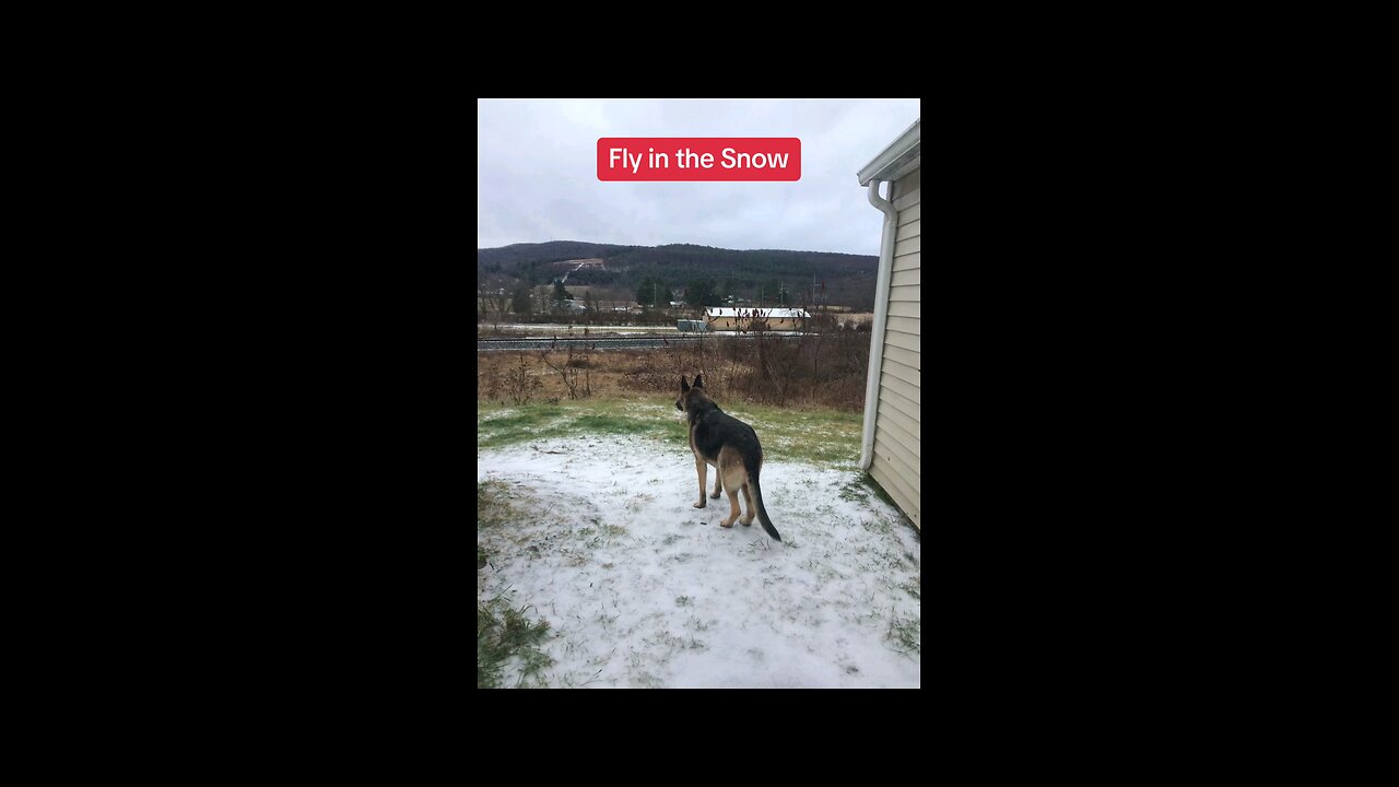 Fly Hikes in the Snow