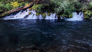 ONE OF THE BEST River Shoreline Hikes in the Entire USA! @ Metolius River in Central Oregon! | 4K