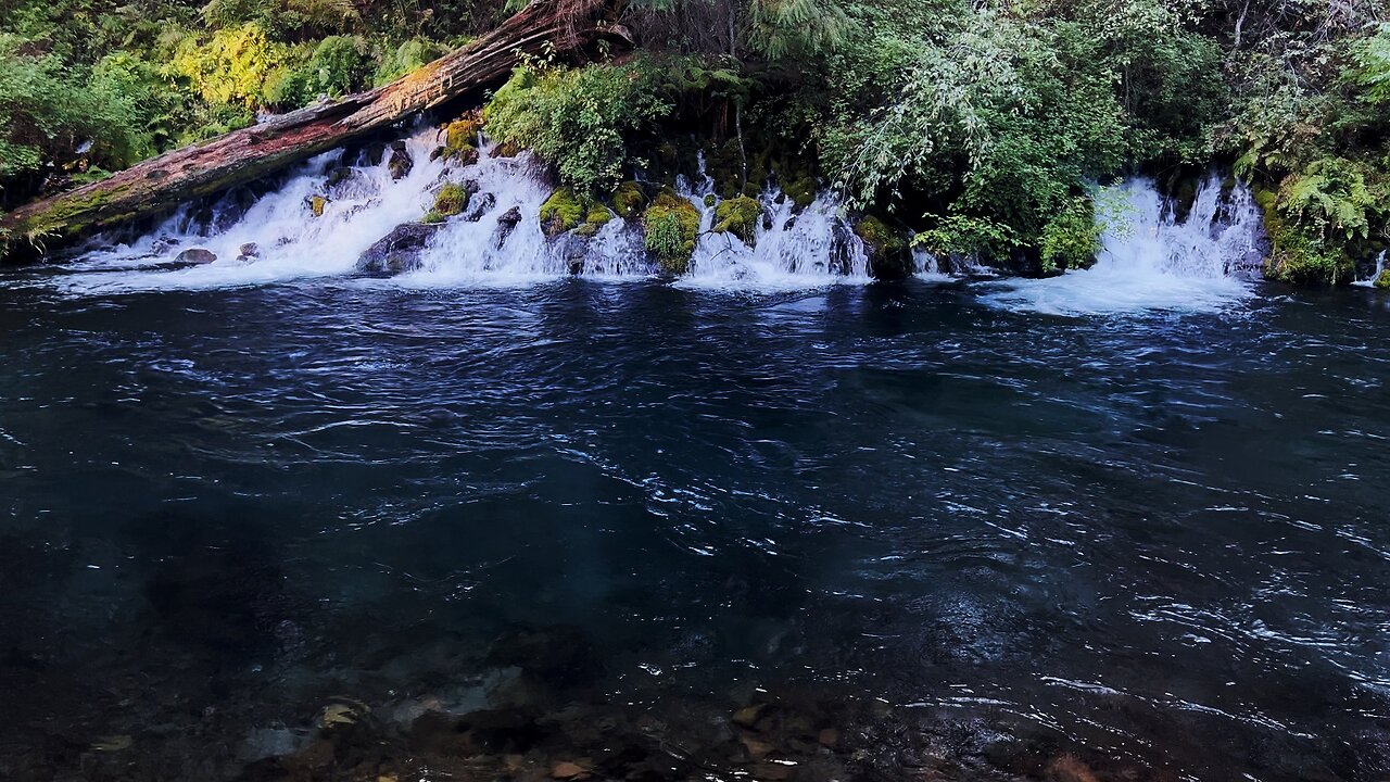 ONE OF THE BEST River Shoreline Hikes in the Entire USA! @ Metolius River in Central Oregon! | 4K