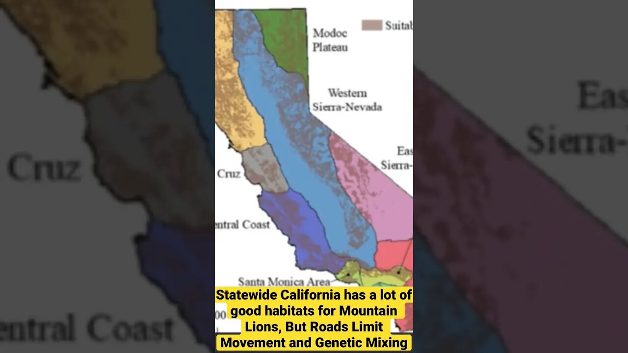 Habitat for Mountain Lions Across California are Widely Dispersed. Roads however, Limit Movement