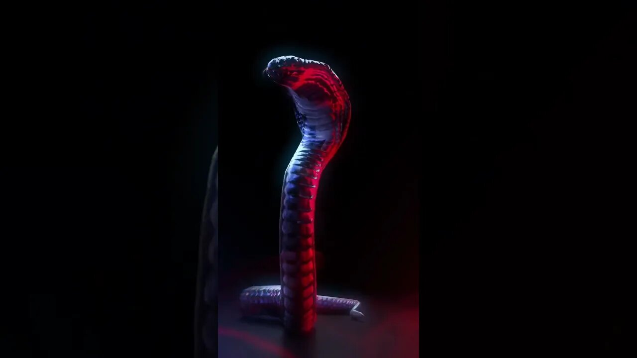 how to make stunning faceless YouTube shorts quickly and easily. Live Wallpaper apps are agreat idea