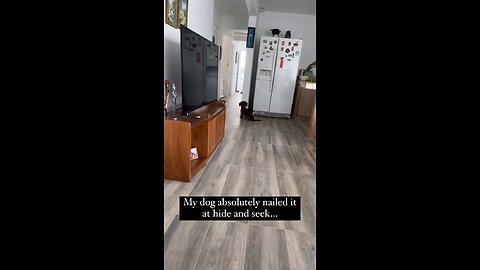 The BEST hide and seek