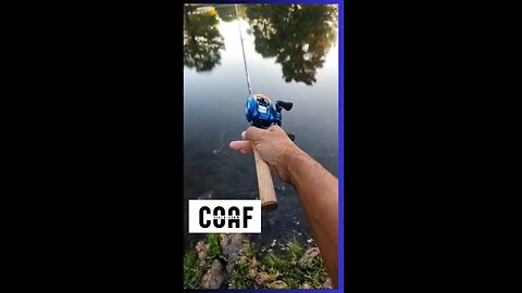 Ultralight Fishing Combo Works for Bass, Too!