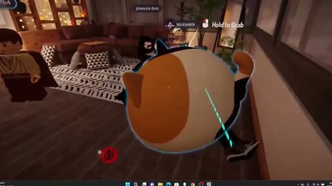 Trolling in VR Chat #2