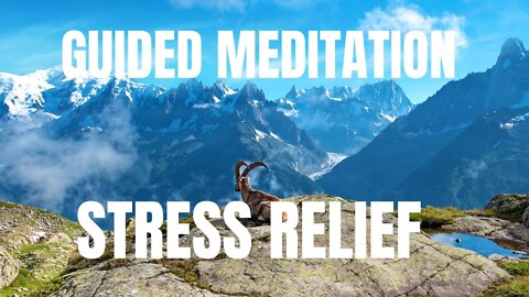 GUIDED MEDITATION for Stress Relief
