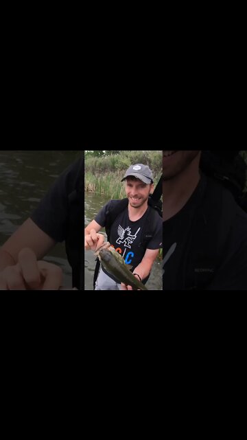 nothing but HUGE Colorado largemouth bass!