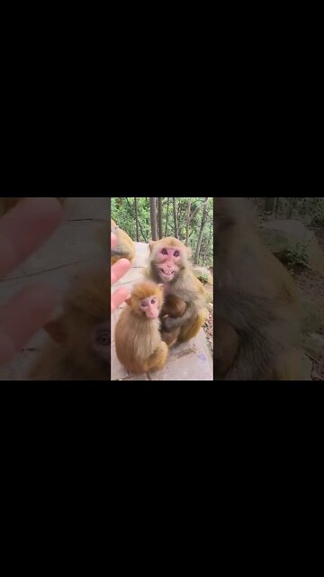 Most Amazing and trending video||relaxing your mind||trendig videos|| #shorts #trending #viral #live