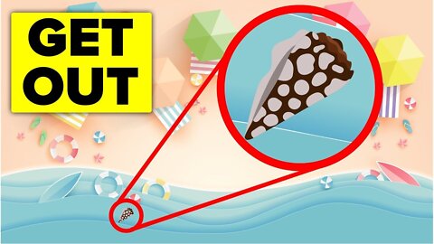 If You See This Snail Get Out Of The Water Right Away