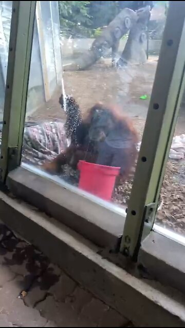 He’s doing a great job :)