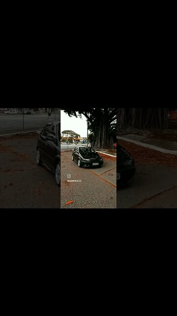 Efeito borboleta 🦋#equipepalio_g1 #epg1 #carrorebaixado #fiat #paliog1