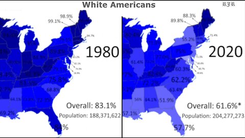 The American White Genocide