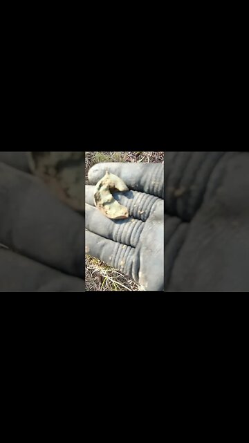 Civilwar toe tap #relics #coins #buttons #civilwar #metaldetecting #trending #silver