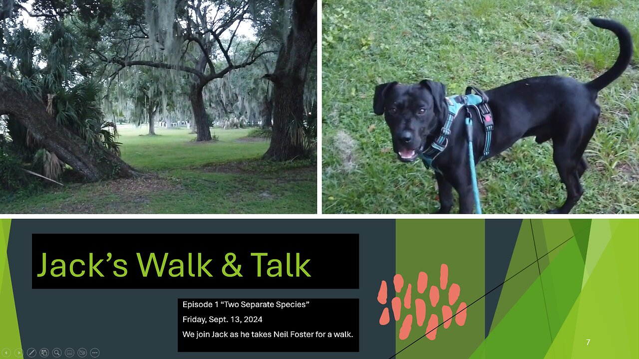 Neil Foster: Jack's Walk & Talk - "Two Separate Species" - Sept. 13, 2024