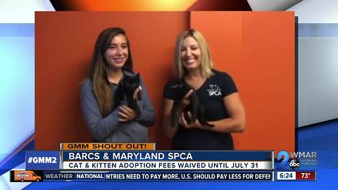 Good morning from BARCS & Maryland SPCA!