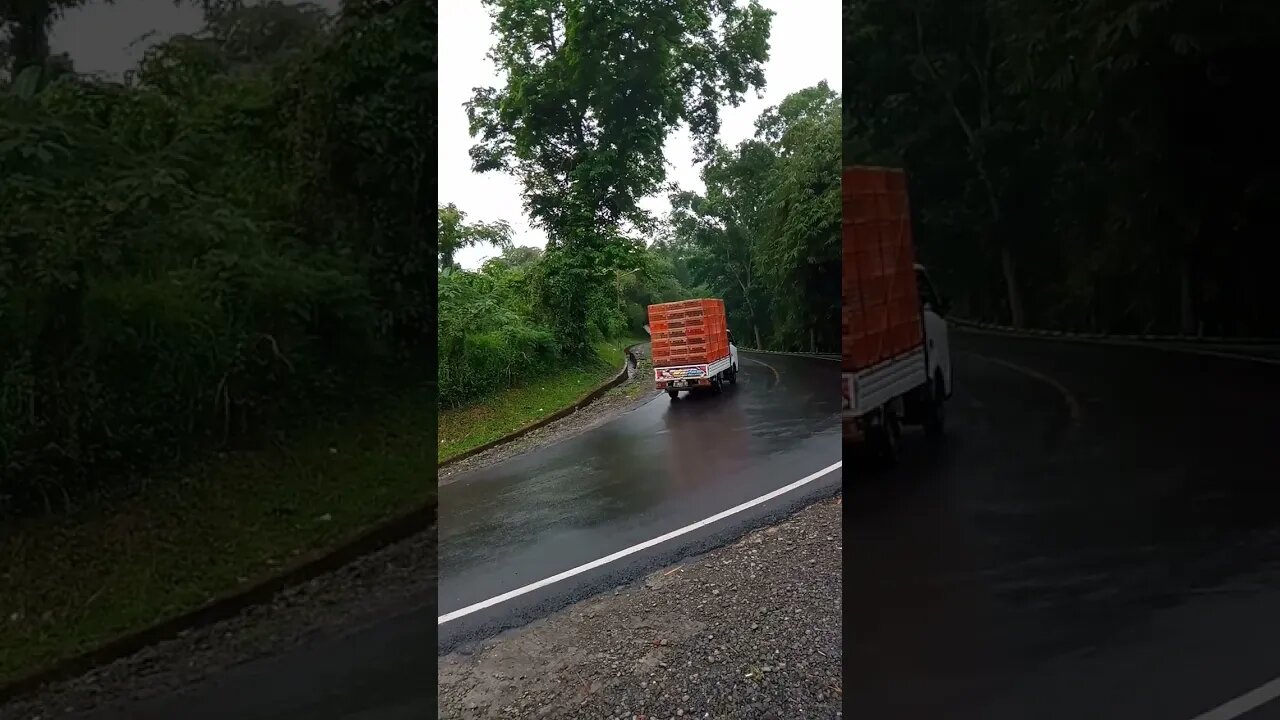 mobil bak pengangkut ayam