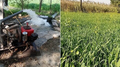 Pehla Sardeyaoo Ka Pani Laga Deya