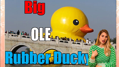 The Time A 60 foot tall rubber duck sailed into port