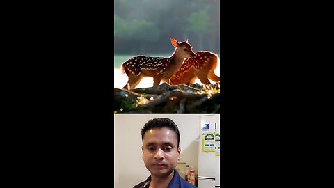 chinese vlog video,#fanny