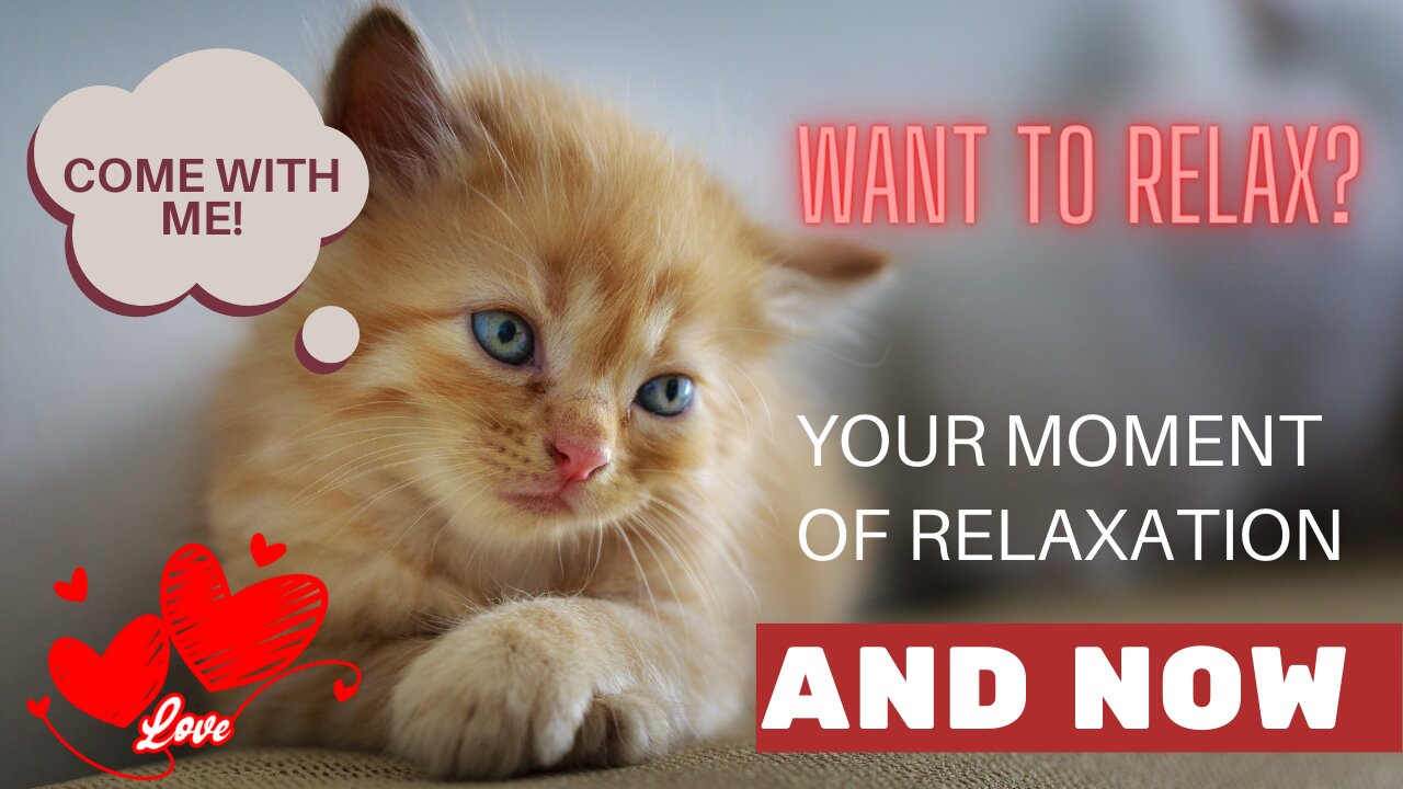 HOW NOT TO RELAX WATCHING THIS #HOW?