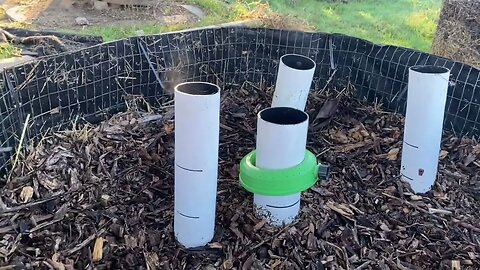 Bioreactor Day 11 - First Fungal Fruiting 