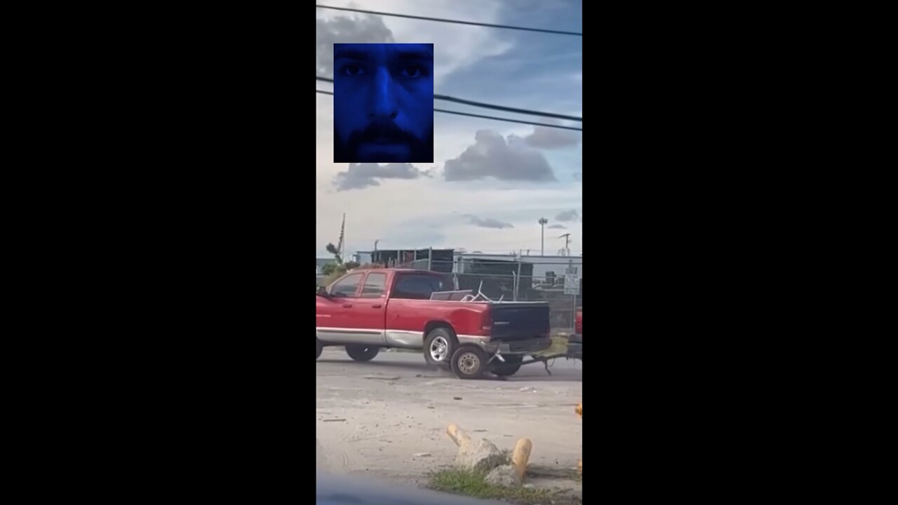 this video is a work of art