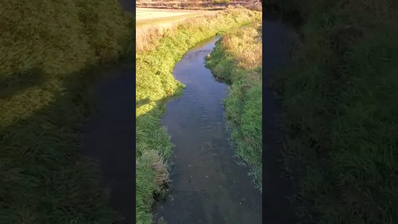soothing rippling creek