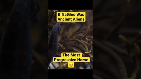 If NatGeo was Ancient Aliens: The Most Progressive Horse