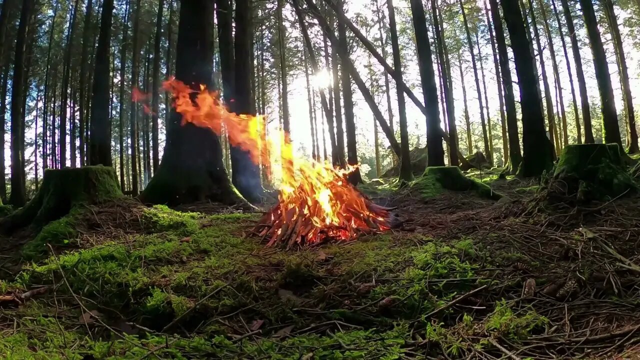 2 Hours of Campfire for Relaxation and Meditation