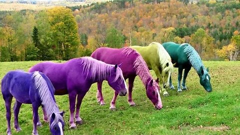 Cloudbear Custom Blends Painted Pony. Wednesday Review 4/12/2023