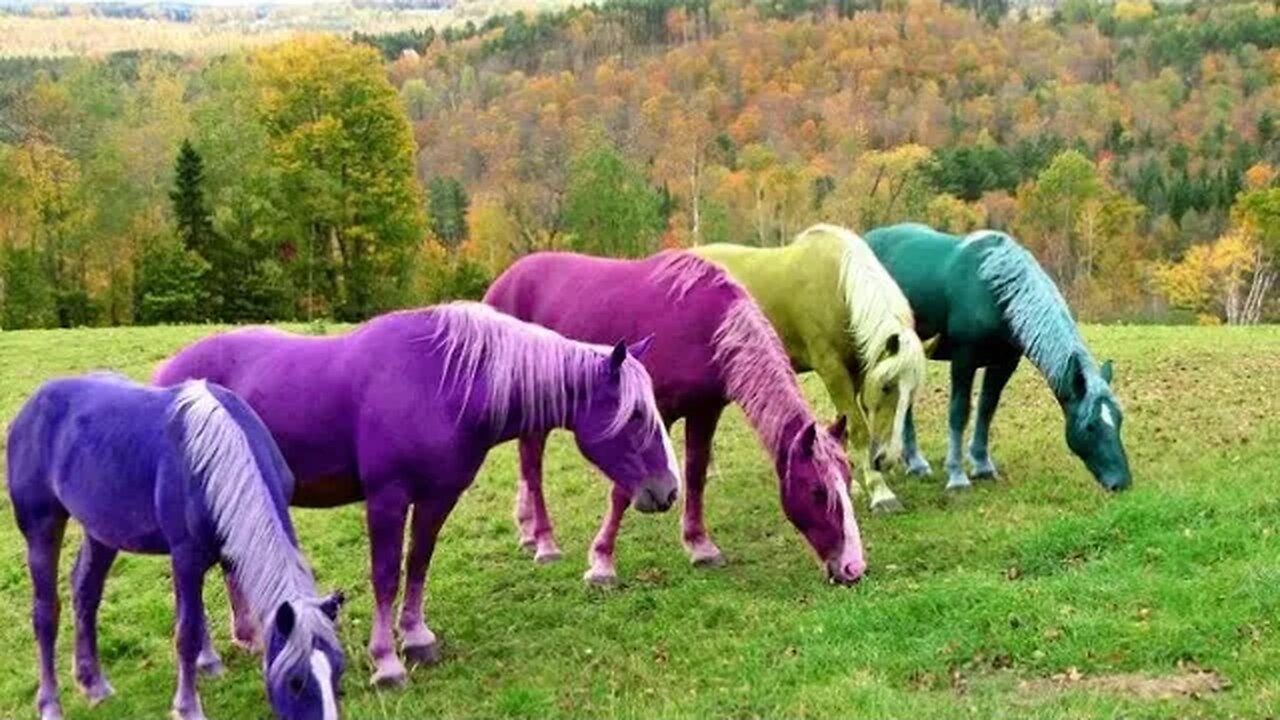 Cloudbear Custom Blends Painted Pony. Wednesday Review 4/12/2023
