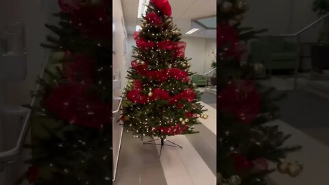 Christmas Time is Here 🎄🎅🏻