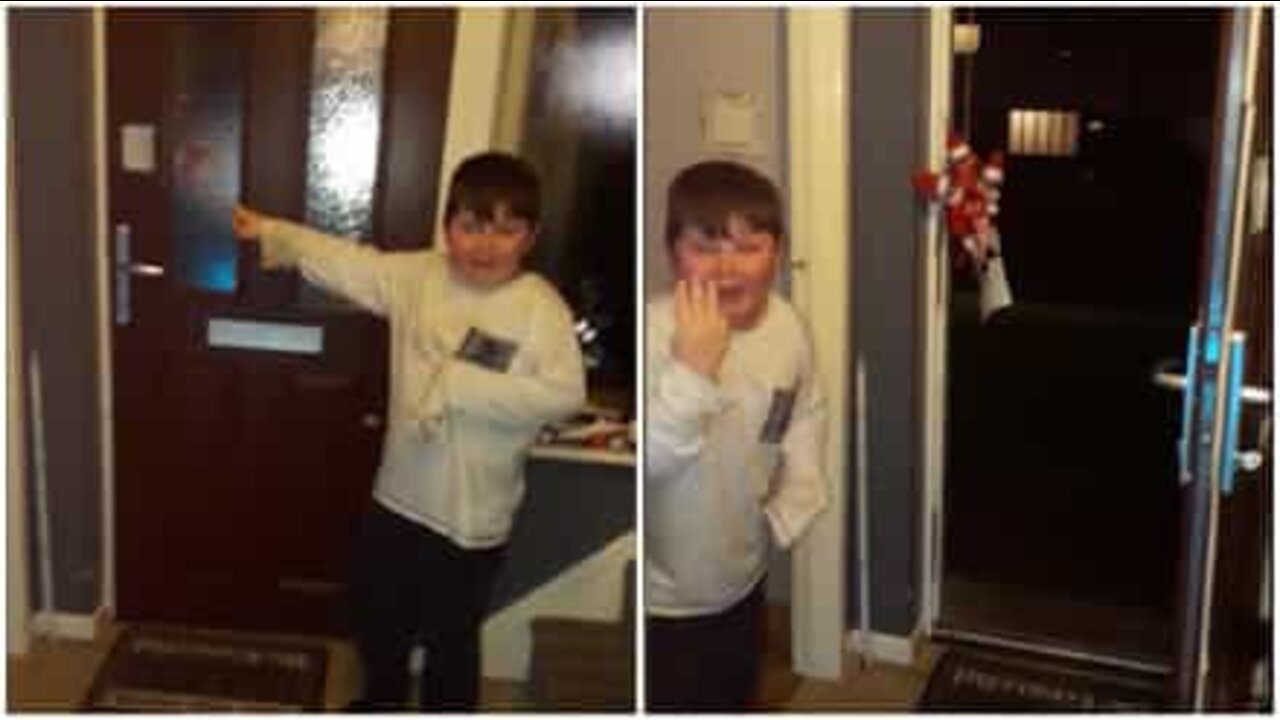 おもちゃの妖精に怯える子ども