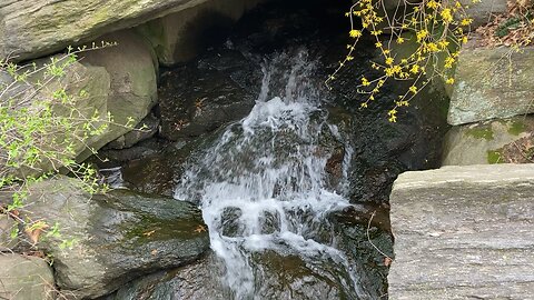 The Pool Waterfall (North Woods of Central Park)