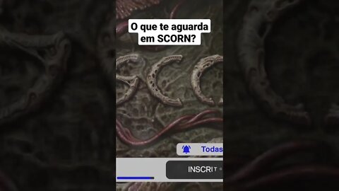 scorn