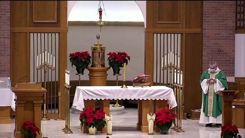 Holy Family and St. John's Liturgies and Services