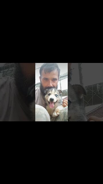 a update on the pup we rescued a couple weeks ago we're naming him #mando #thefreeamerican