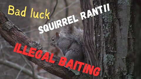 Bad luck, Squirrel RANT, Illegal baiting