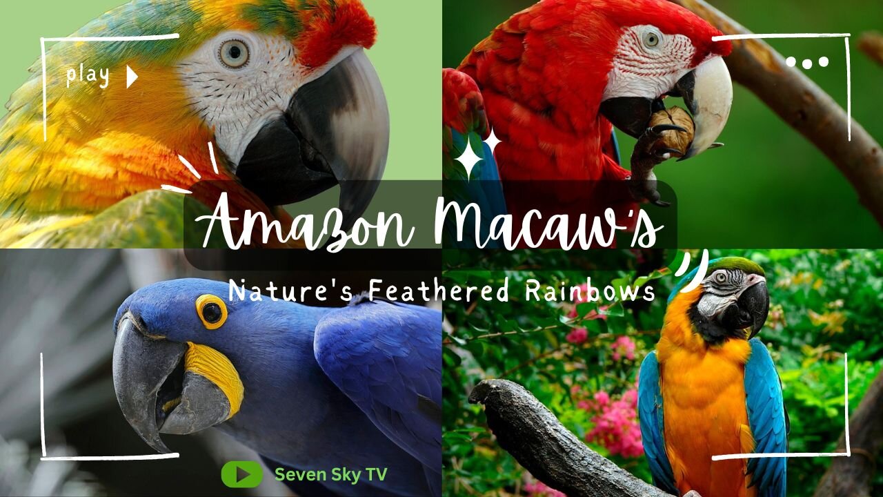 Macaws in Action: Colorful Wonders of the Wild