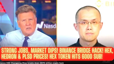 Strong Jobs, Market Dips! Binance Bridge Hack! Hex, Hedron & PLSD Prices! Hex Token Hits 6000 Sub!