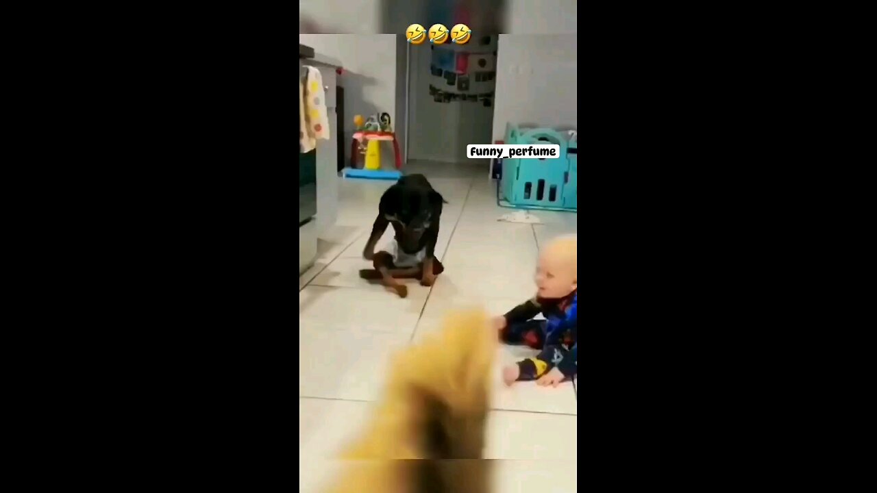 Dog Copying Kid funny 😂😂 video