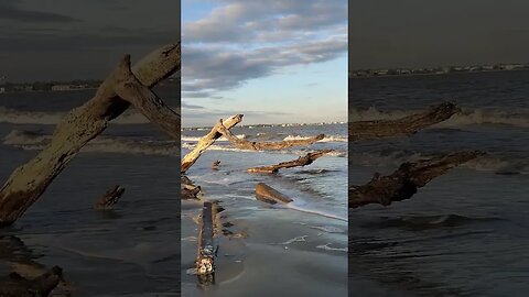 🏝️ Late Afternoon on Driftwood Beach 🏝️ 20 #shorts