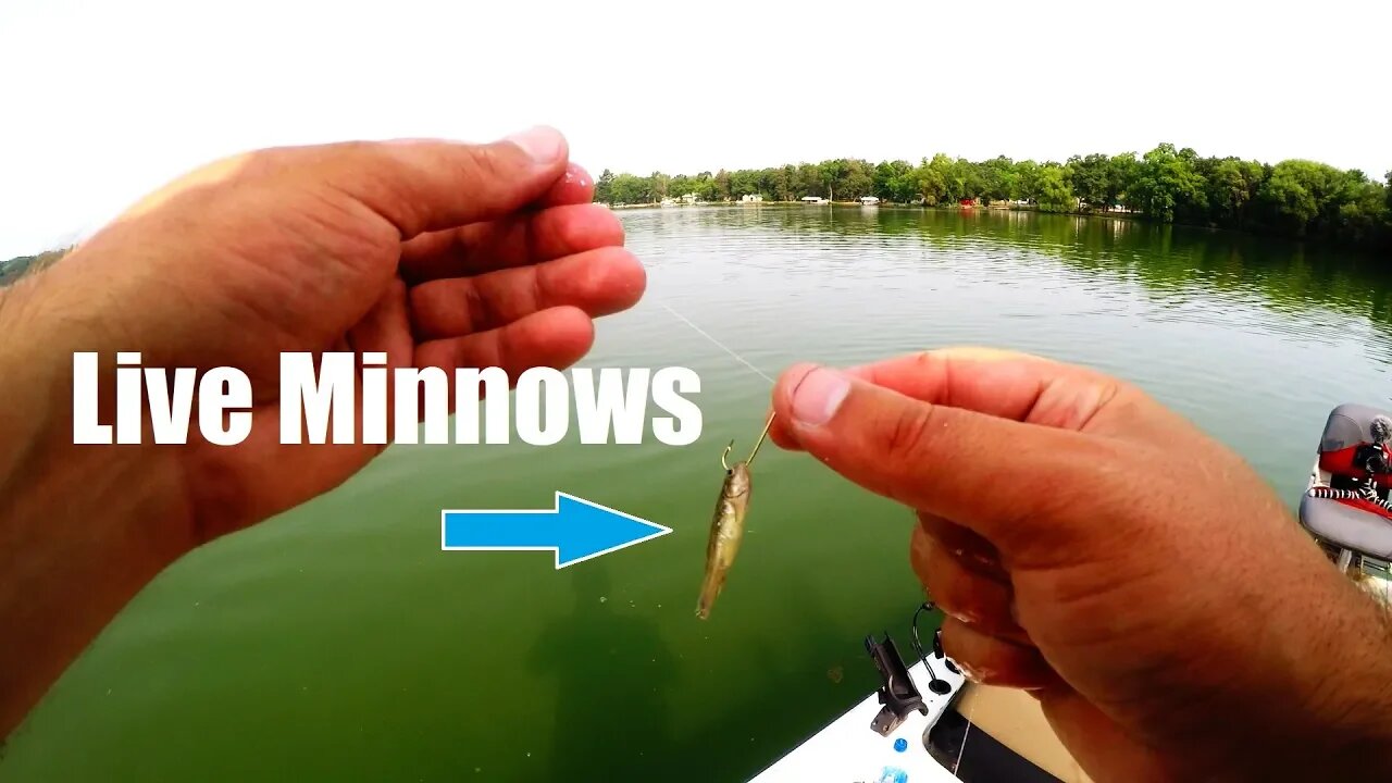Crappie Fishing with LIVE Minnows Day 24 of 30 day challenge