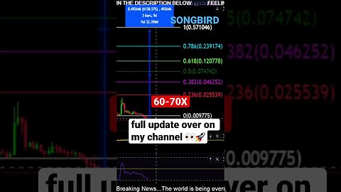 SGB to the MOON!? Conservative macro target! +7000%