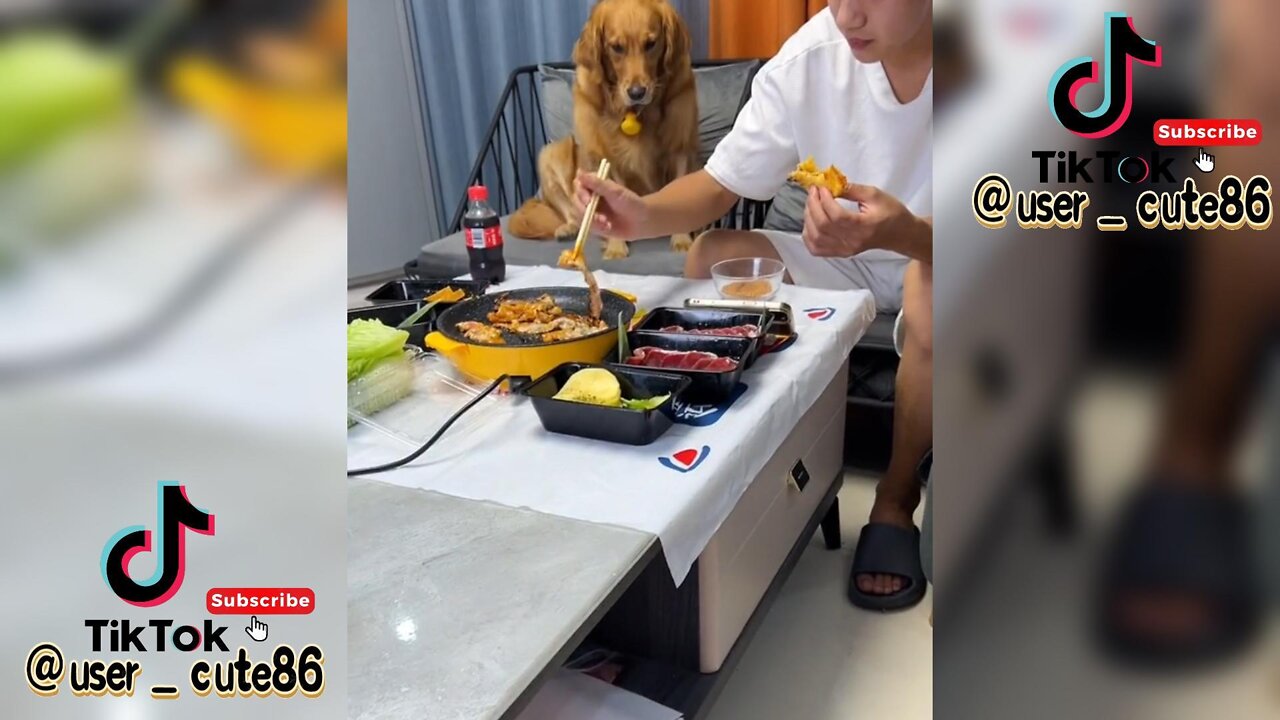 want to eat but dare not eat