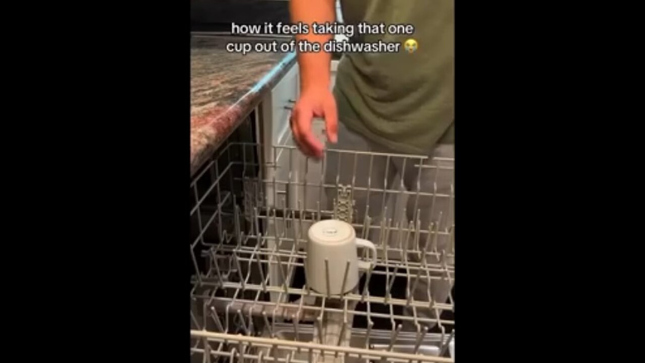 A Dishwasher Truth