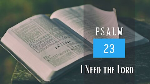 Psalm 23; I need the Lord